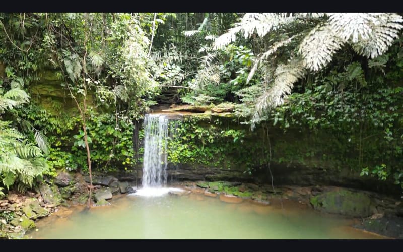 Custom Off-Trail Jungle Hikes