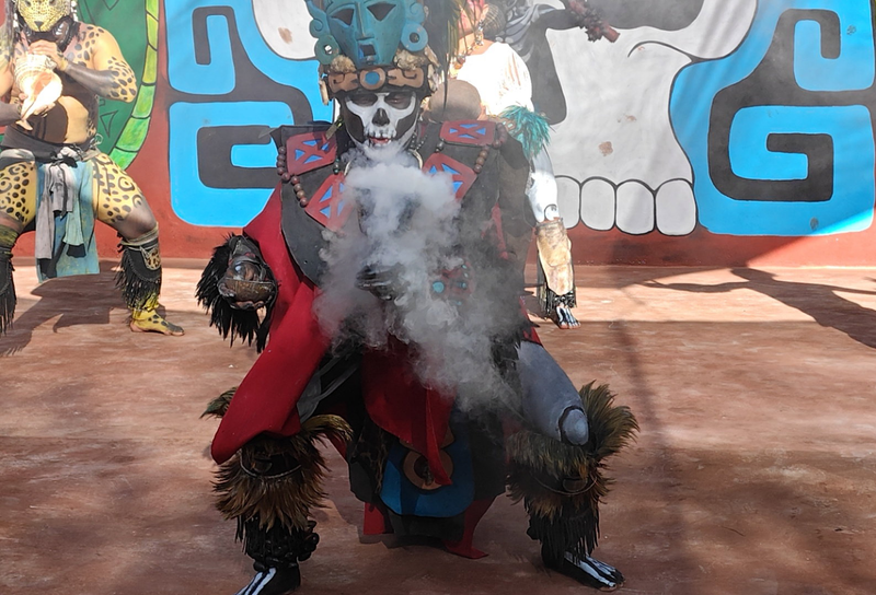 Discover Cozumel A 5-hour Cultural & Culinary Journey