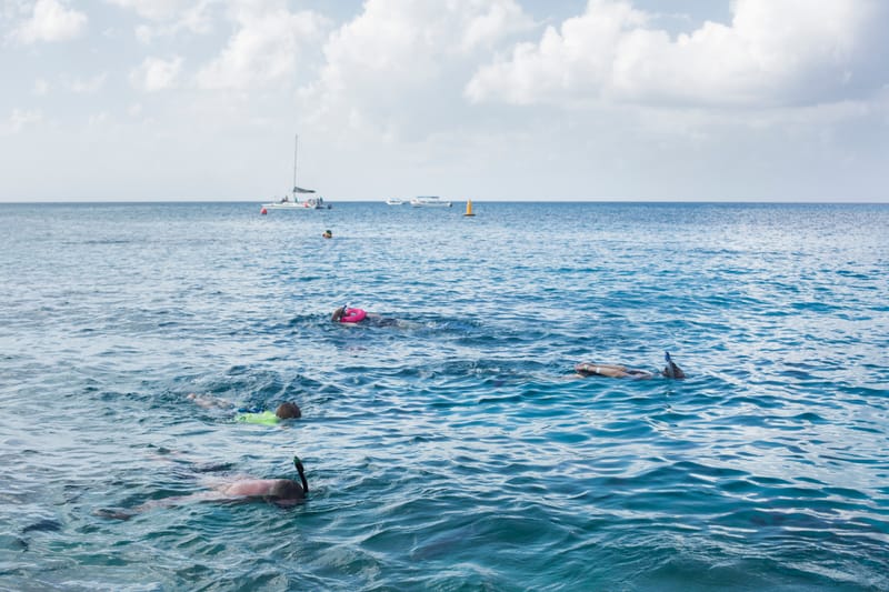 Cozumel Snorkeling Tour for Your Best Day