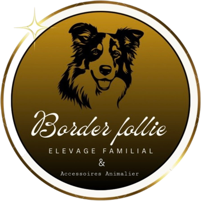 BORDER FOLLIE