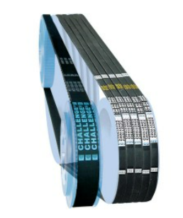 Transmission Belts
