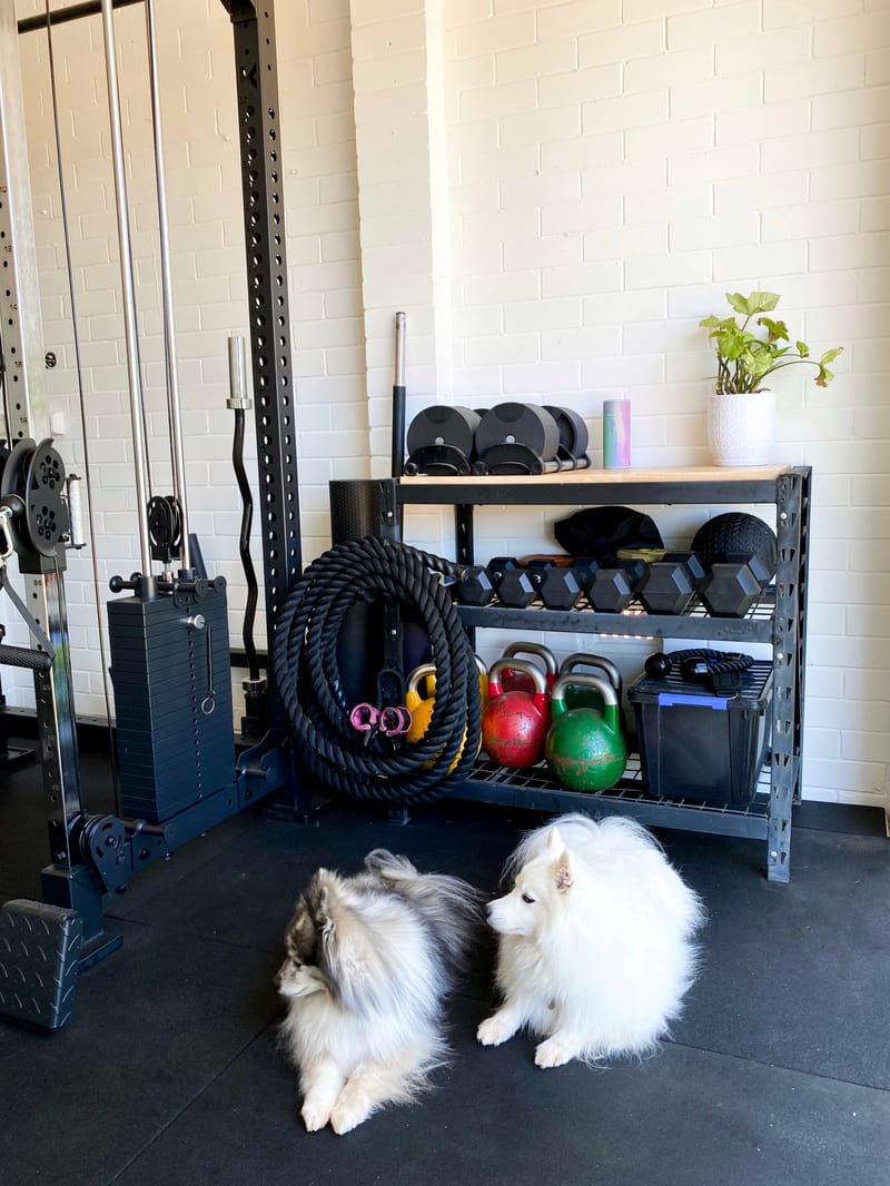 Outdoor Personal Training (Private Studio) $85 per week