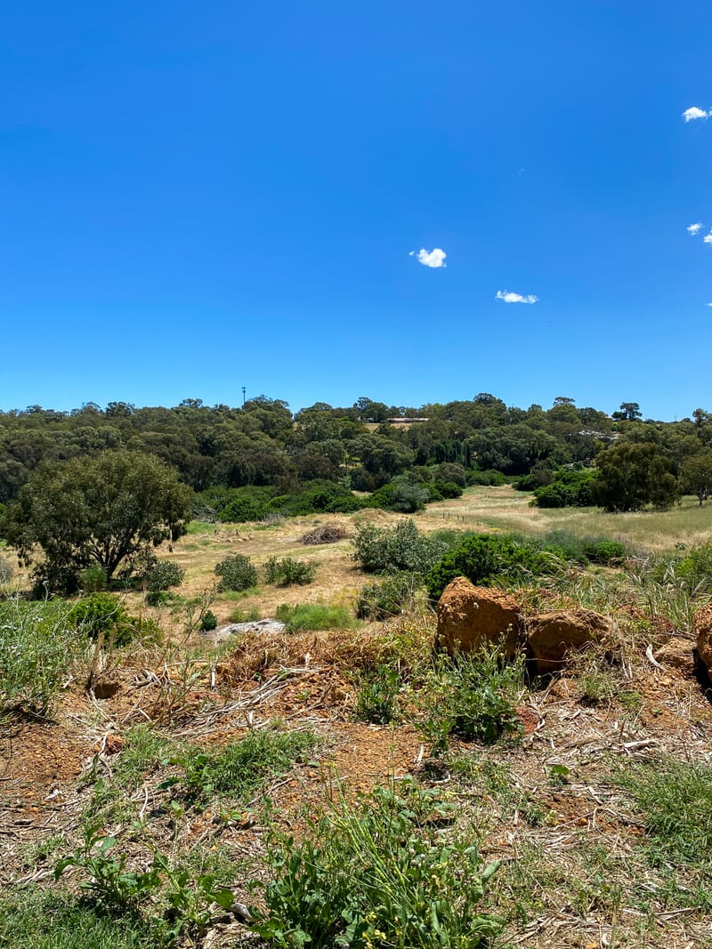 Outdoor Personal Training (Private Studio) $85 per week