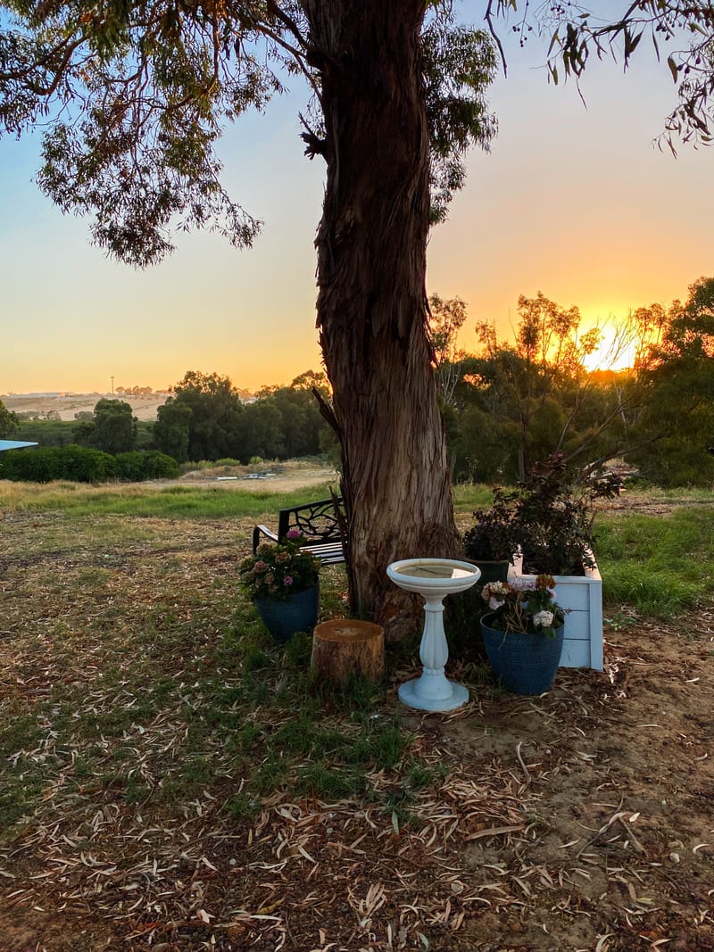 Personal Training (Private Studio) $85 per week