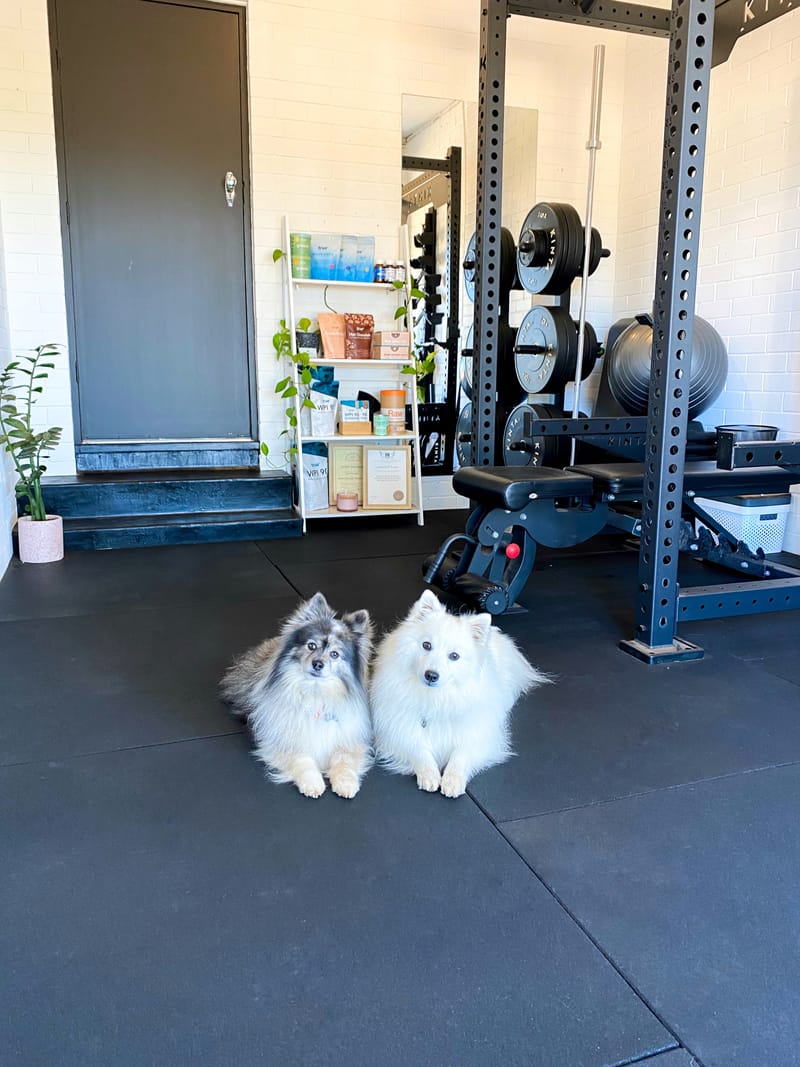 Shared Personal Training Session $110 (2 people) or $130 (3 people)