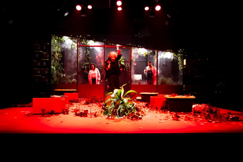 Une plante verte, verte, verte