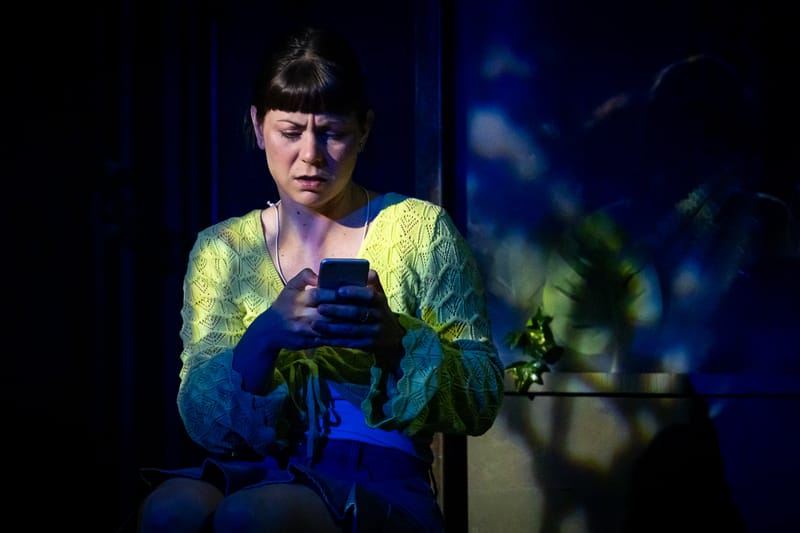 Une plante verte, verte, verte