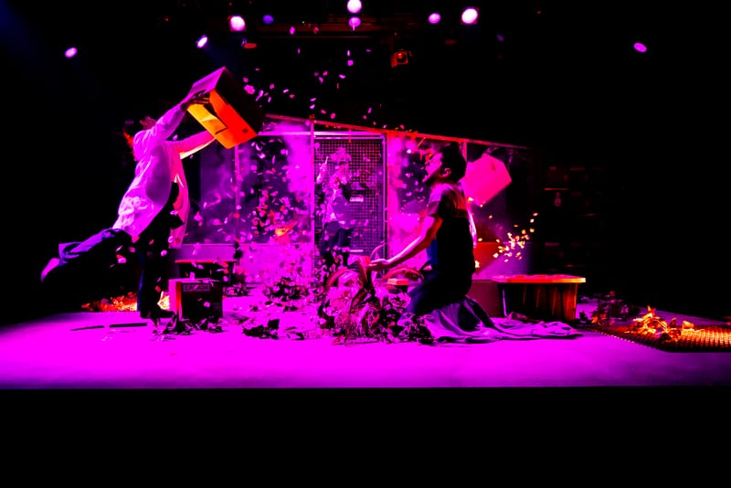 Une plante verte, verte, verte