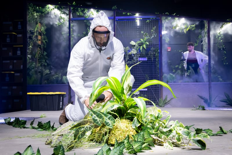 Une plante verte, verte, verte