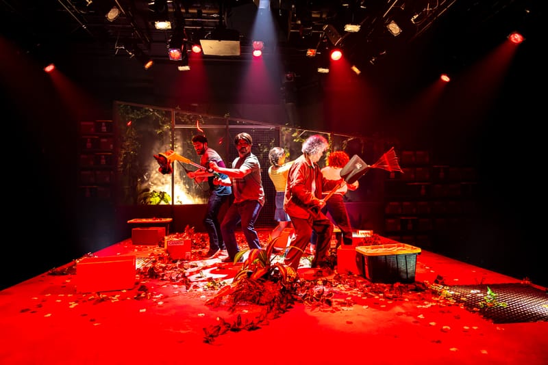 Une plante verte, verte, verte