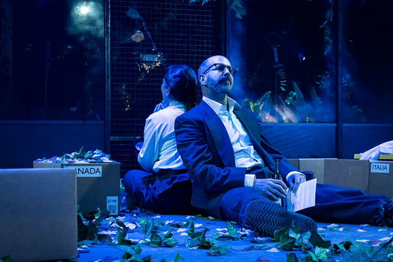 Une plante verte, verte, verte