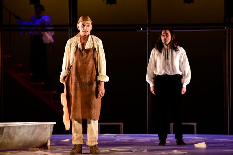 Le Roman de Monsieur de Molière