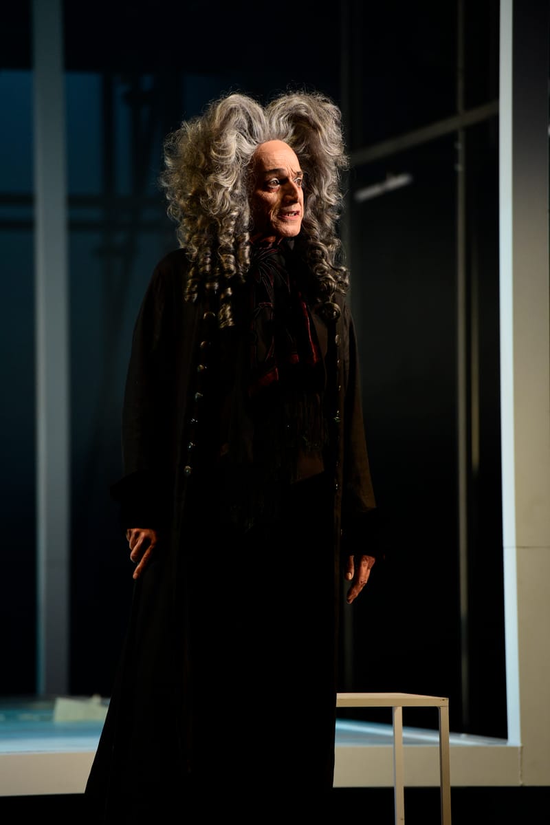 Le Roman de Monsieur de Molière