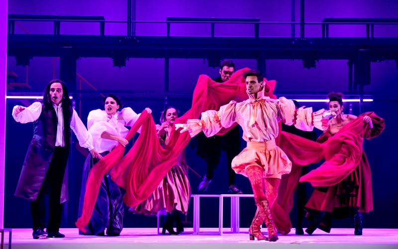 Le Roman de Monsieur de Molière