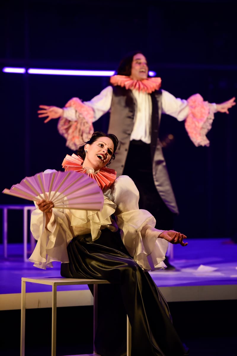 Le Roman de Monsieur de Molière