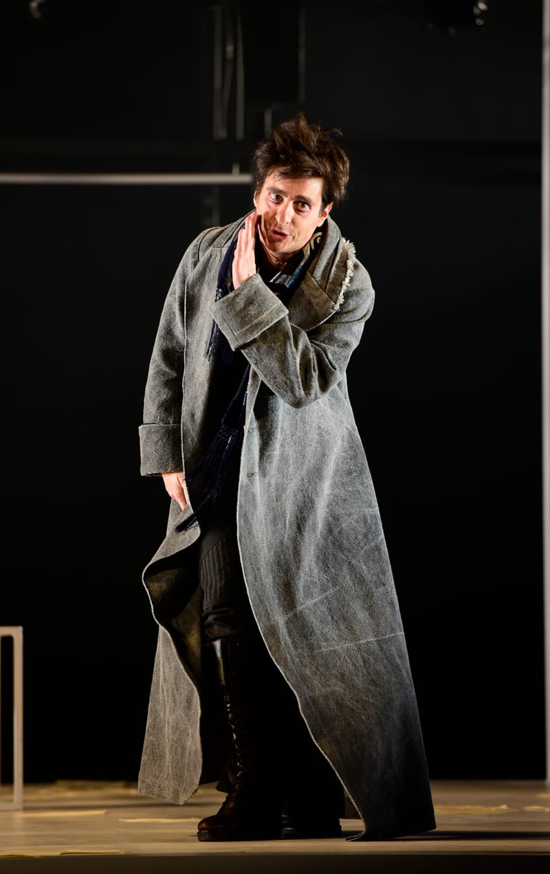 Le Roman de Monsieur de Molière