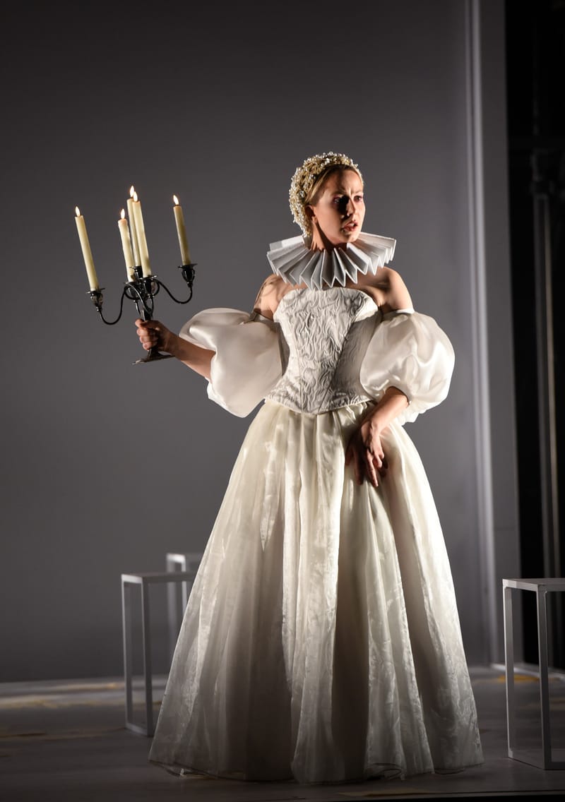 Le Roman de Monsieur de Molière