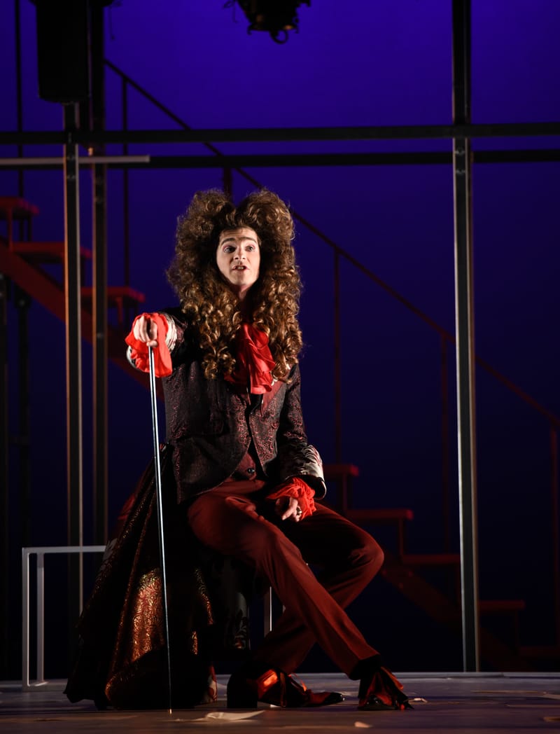 Le Roman de Monsieur de Molière