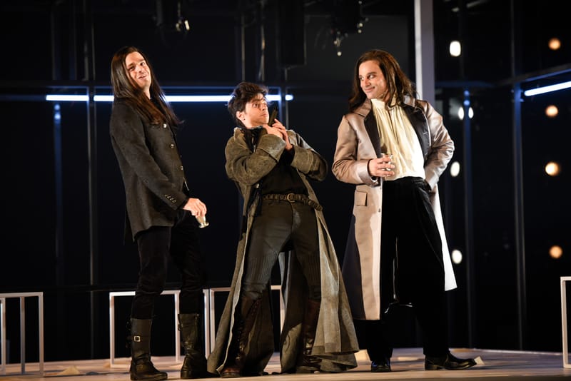 Le Roman de Monsieur de Molière