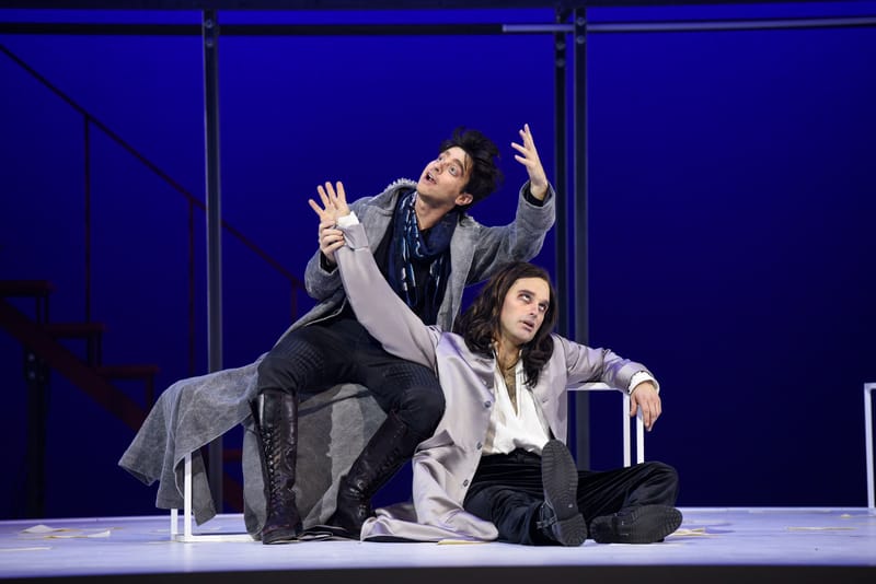 Le Roman de Monsieur de Molière