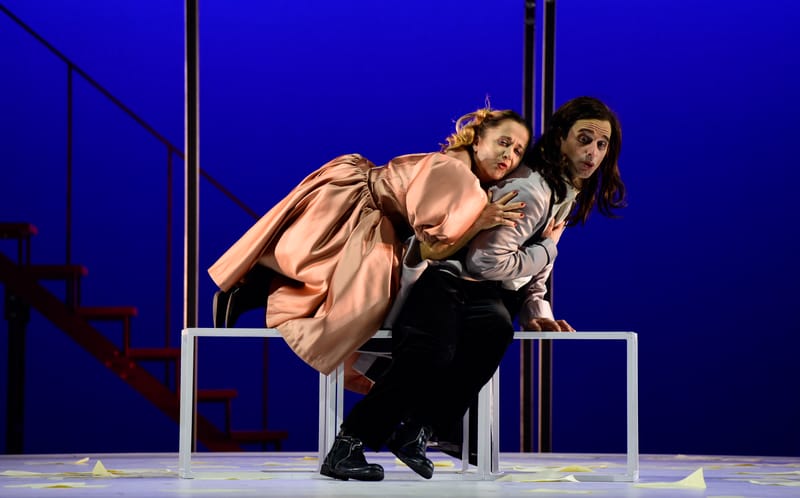 Le Roman de Monsieur de Molière