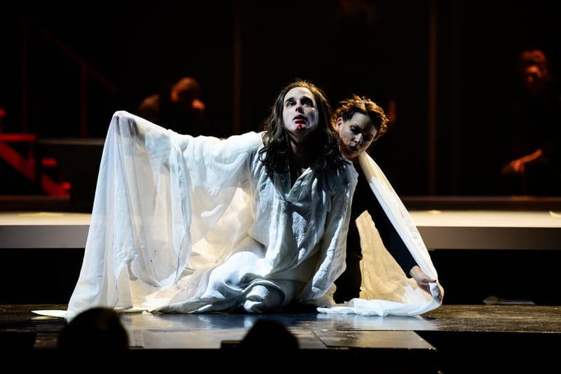 Le Roman de Monsieur de Molière