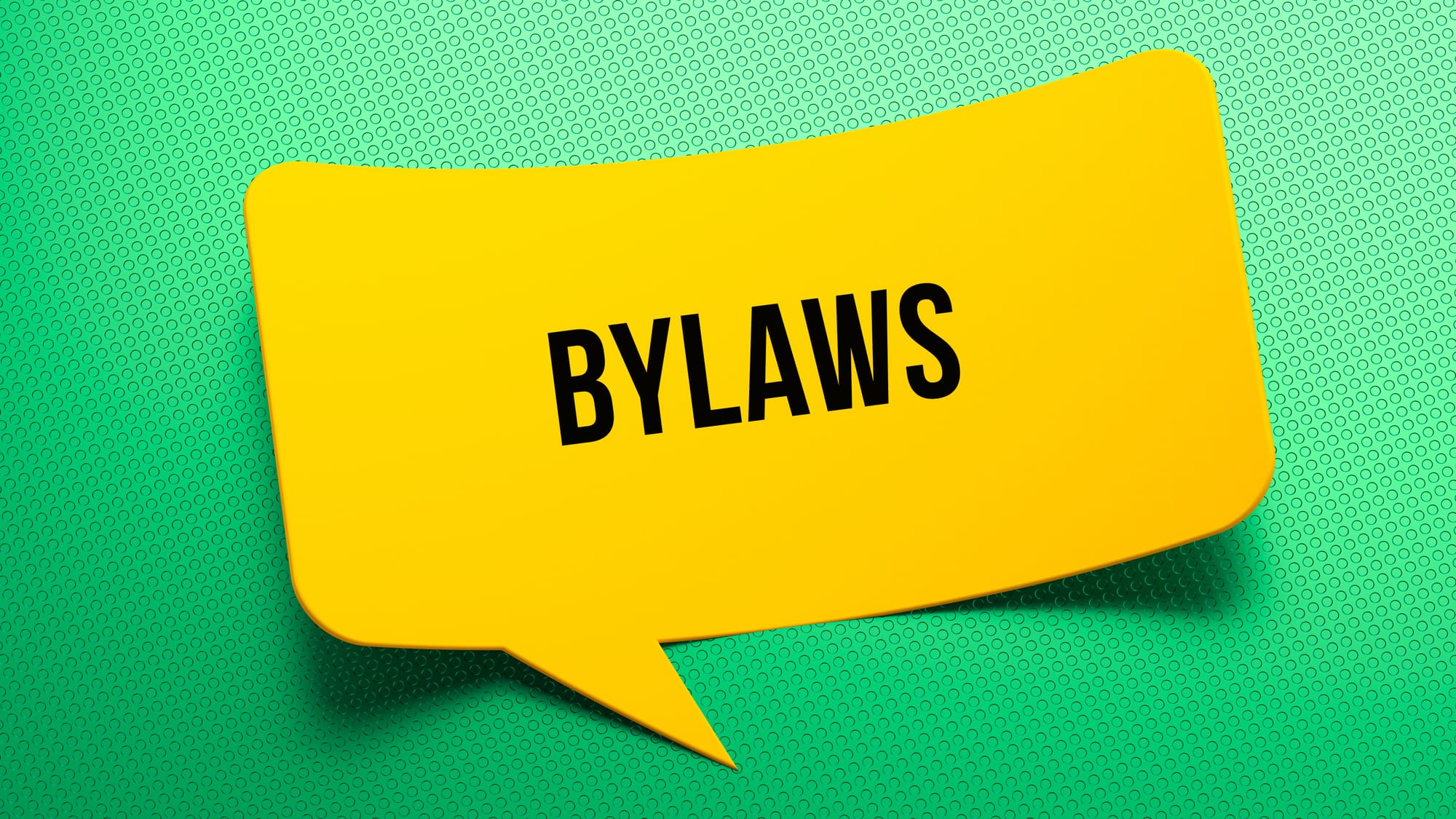 VFCAL BYLAWS