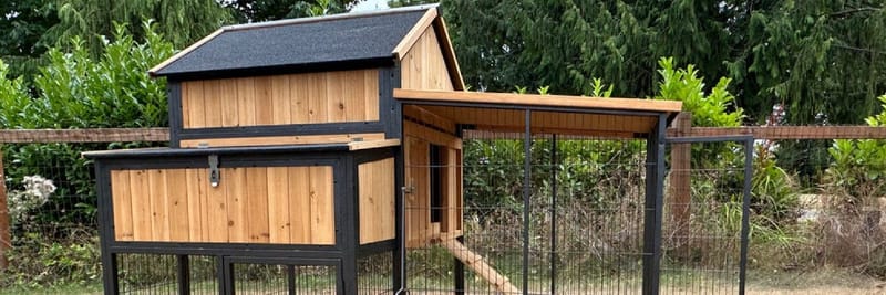 Urban Northern Coops Professional Journey in Building Sustainable Backyard Poultry Systems