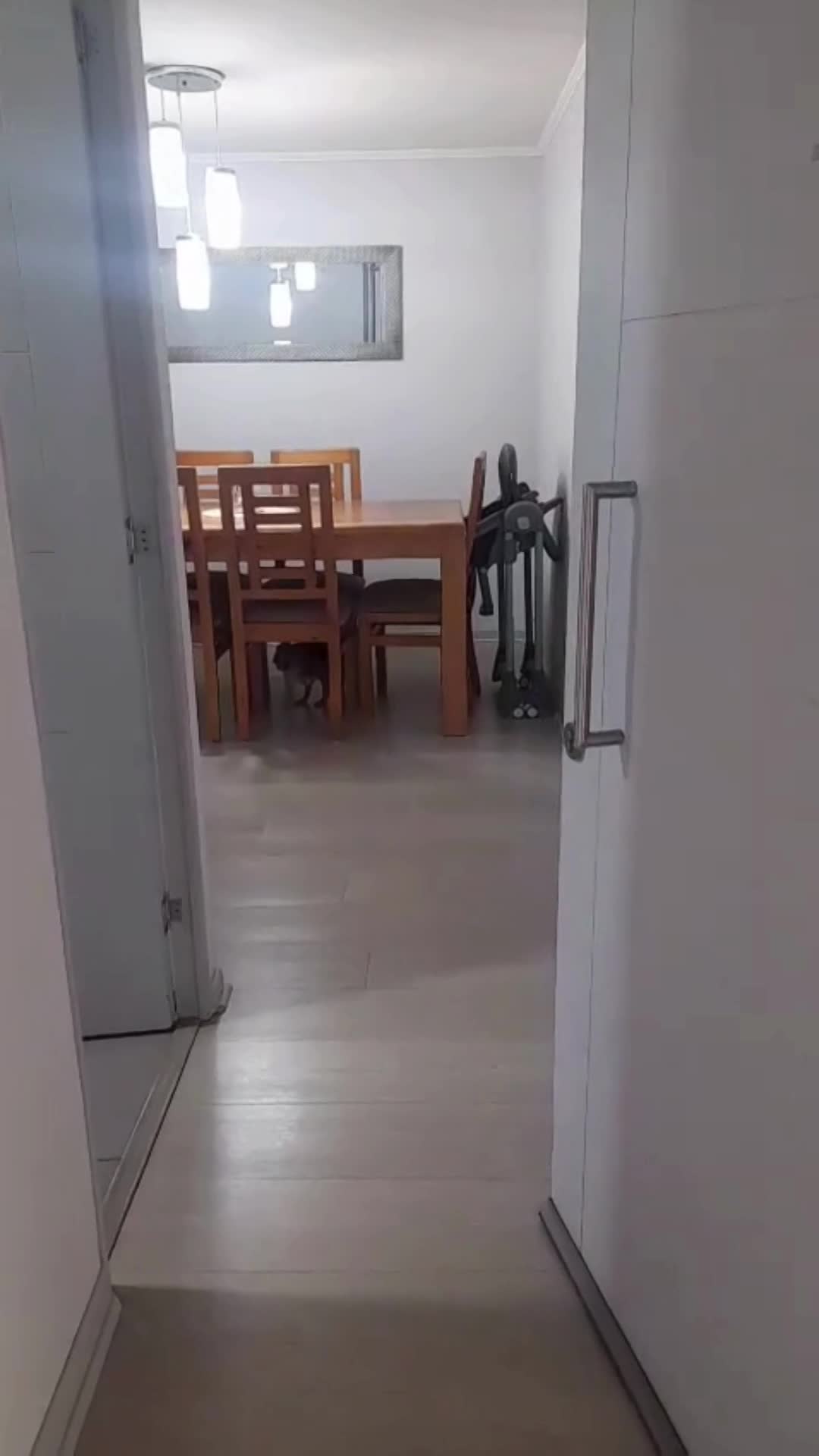 Un vídeo thumbnail