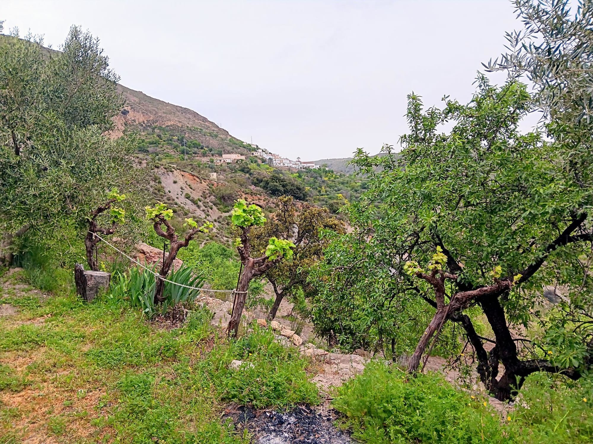Se vende una finca con nueva construcción ubicada en la ladera sur de Sierra Nevada, en Nieles, que cuenta con 1,39 hectáreas de terreno y abundantes recursos hídricos                       135000€