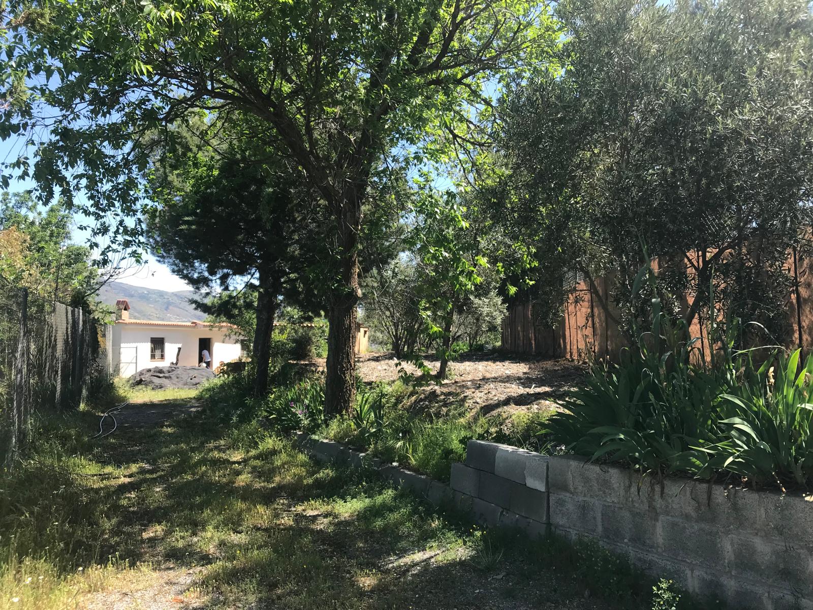 Casa de campo en venta con terreno fértil en Torvizcón                      110 000 €
