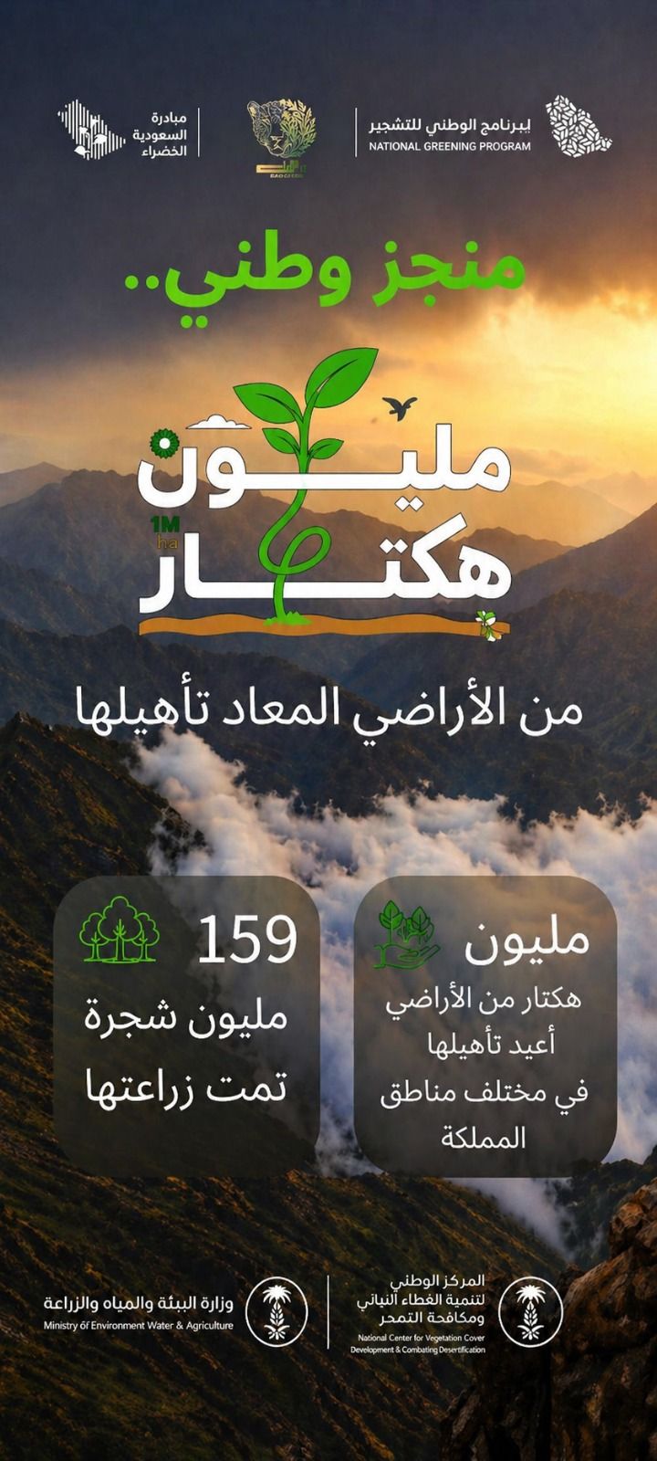 ريماس الردادي