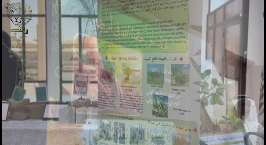 المدينة المنورة -ريماس الردادي