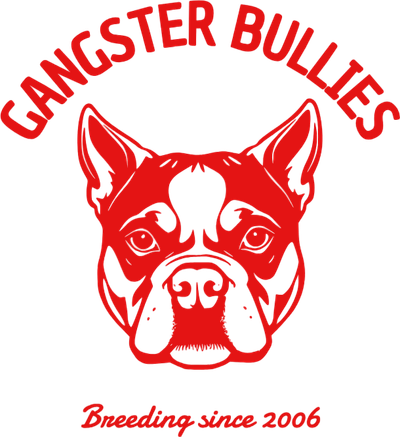 Gangster Bullies