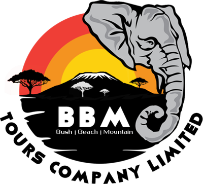 BBM Tours Company Ltd