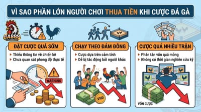 Chiến Thuật Đặt Cược Đá Gà: Cách Đọc Trận Và Quyết Định Cược