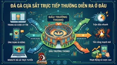 Đá Gà Cựa Sắt Trực Tiếp Hôm Nay: Xem Livestream Trận Mới