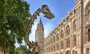 National History Museum London (NHM)
