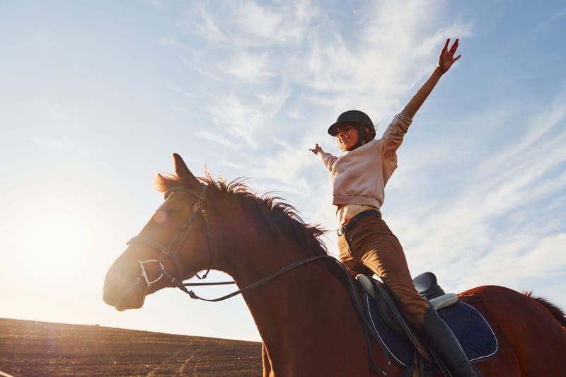 Horse Riding Lessons