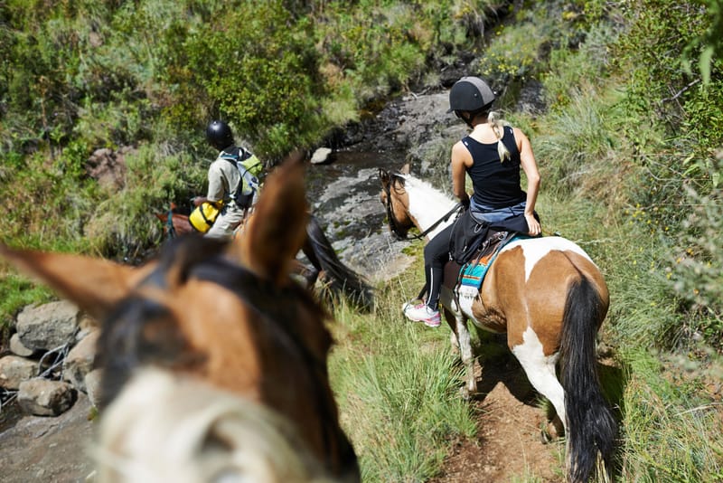 Scenic Trail Rides