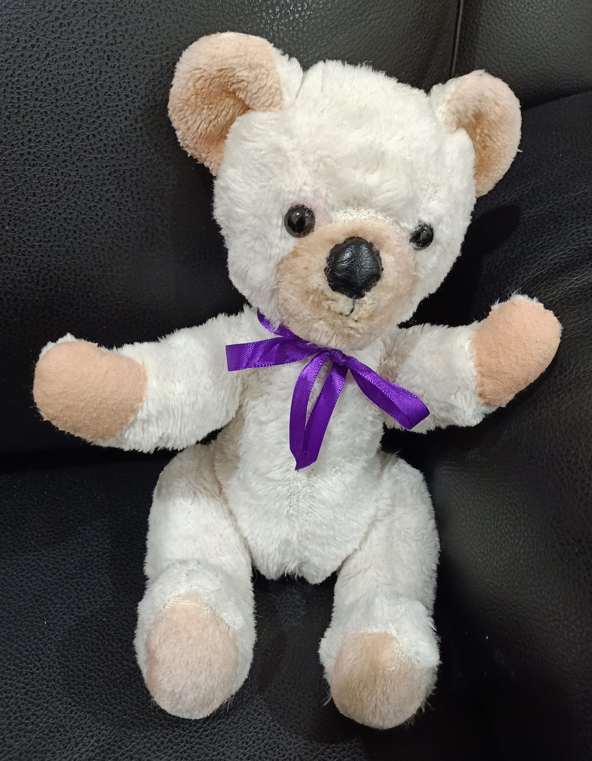 Teddy after