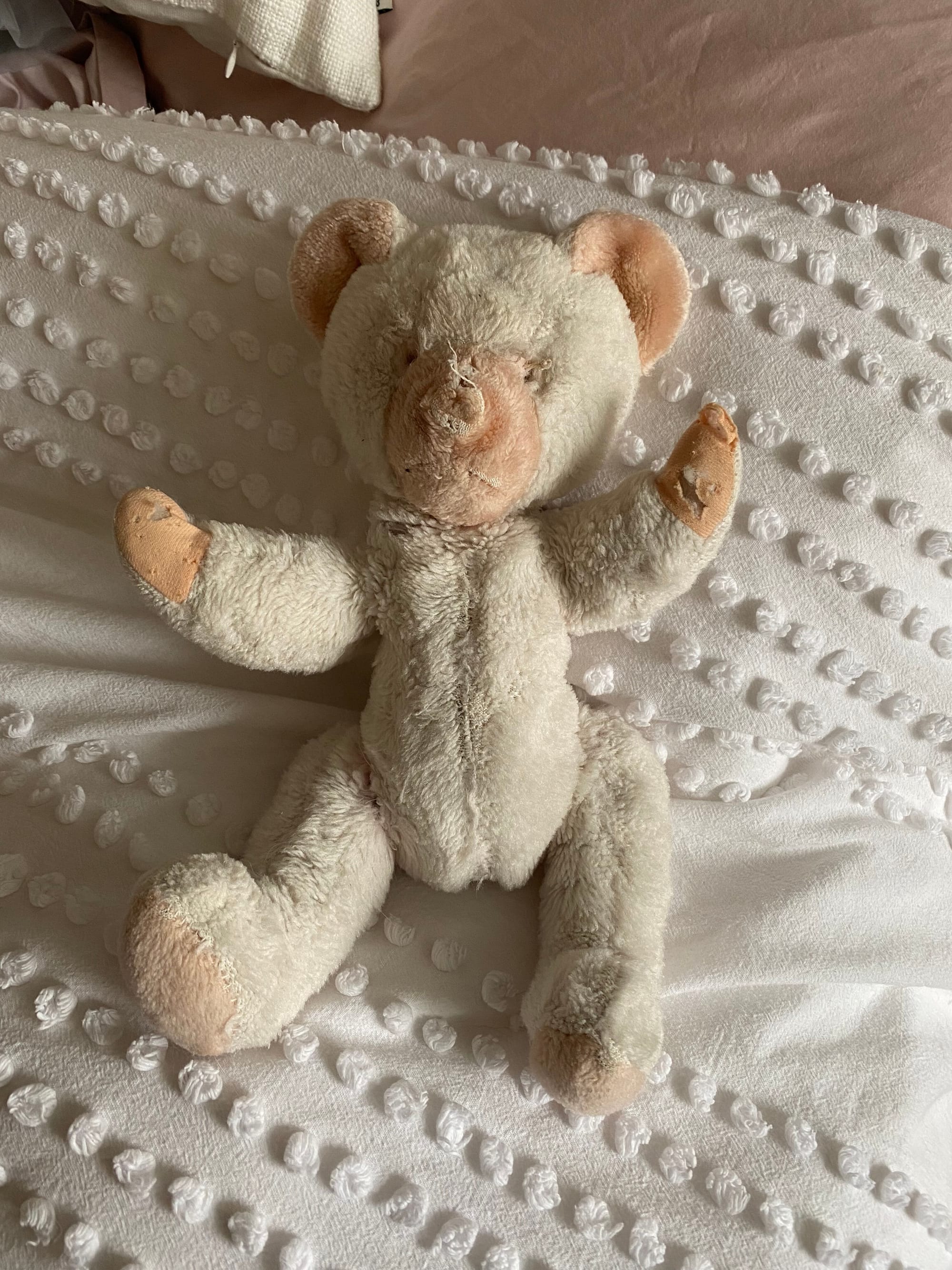 Teddy before