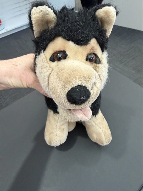 Puppy before