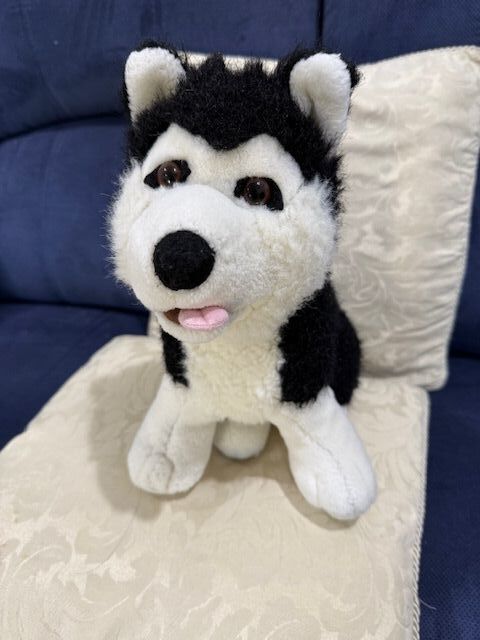 Puppy after