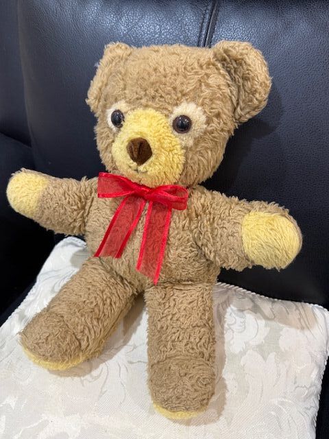 Teddy after