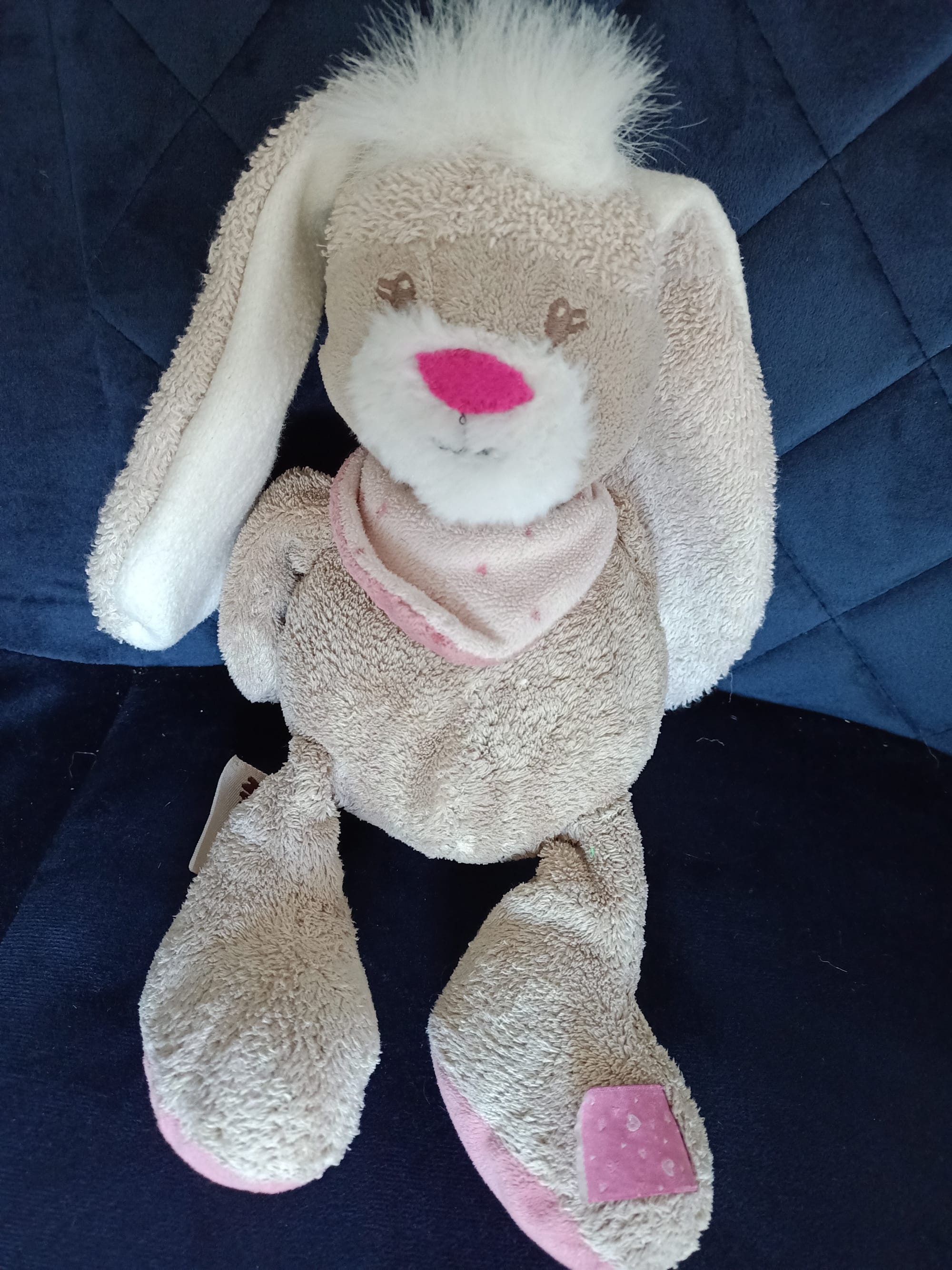 Bunny after