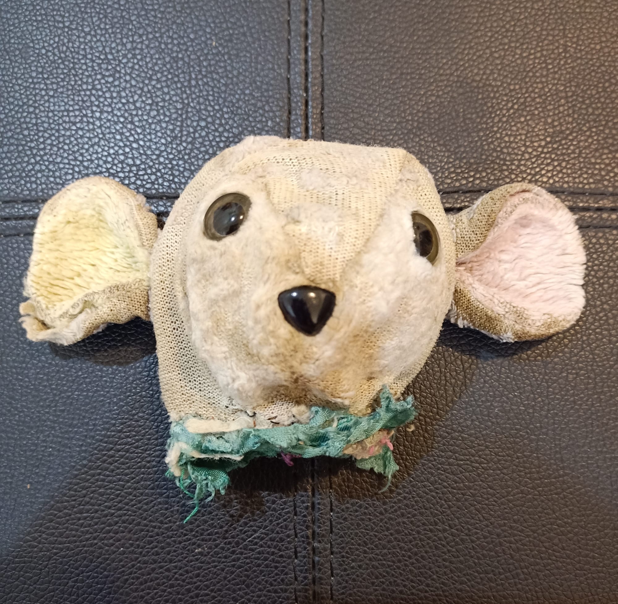 Little Bear before