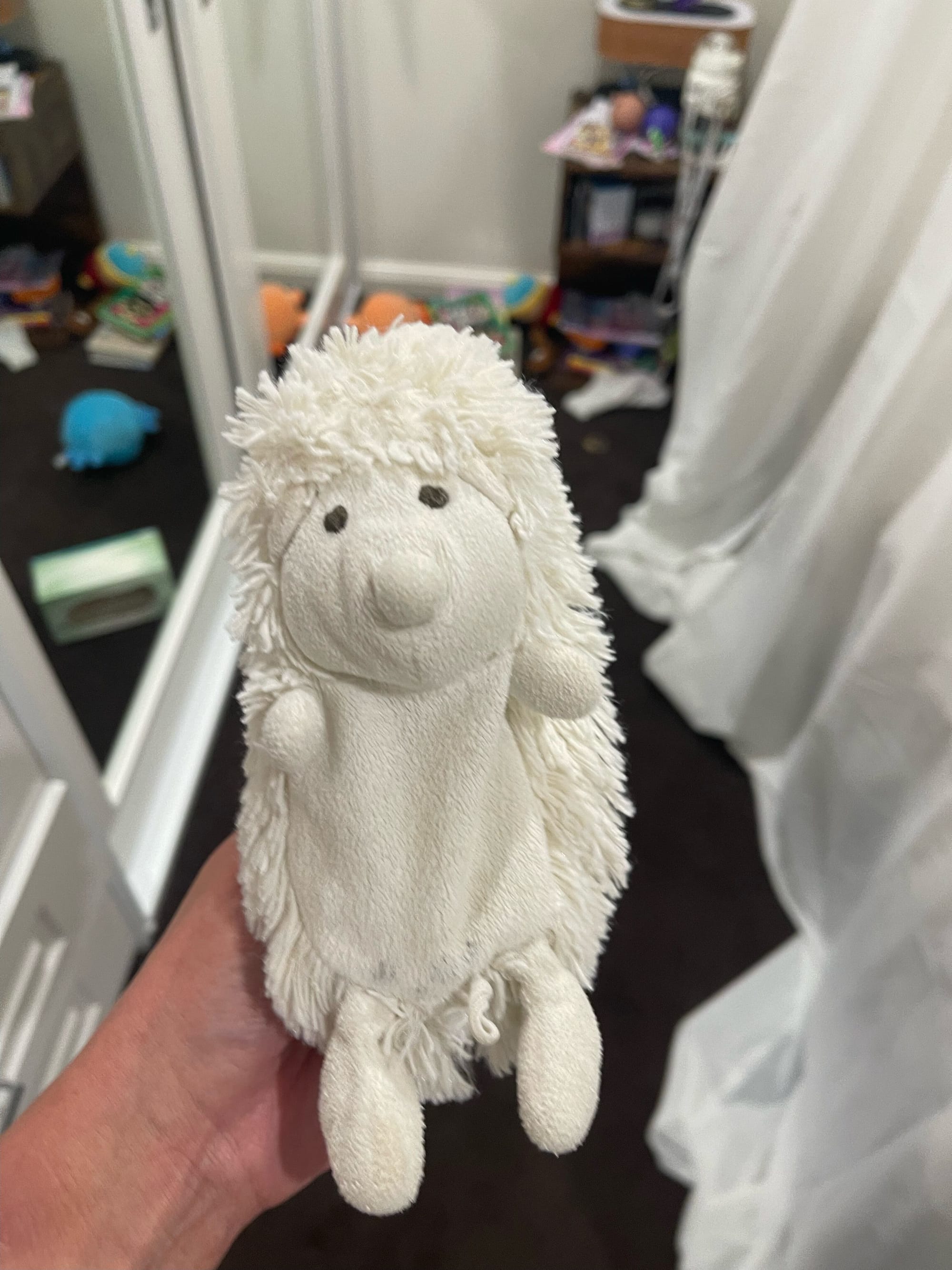 Harry the Hedgehog before