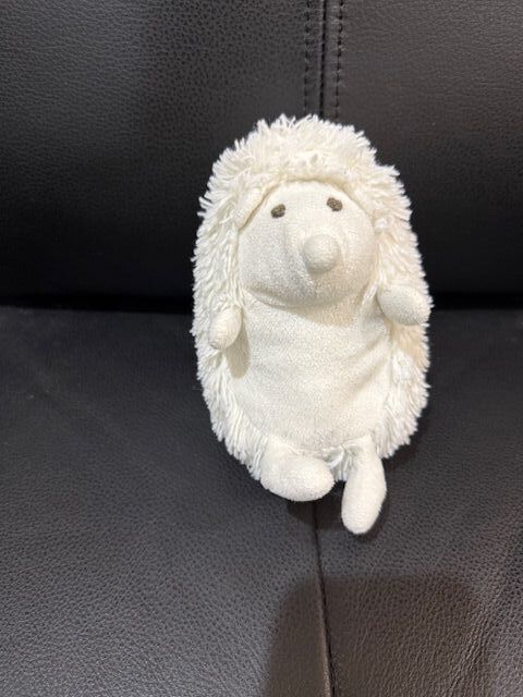Harry the Hedgehog after