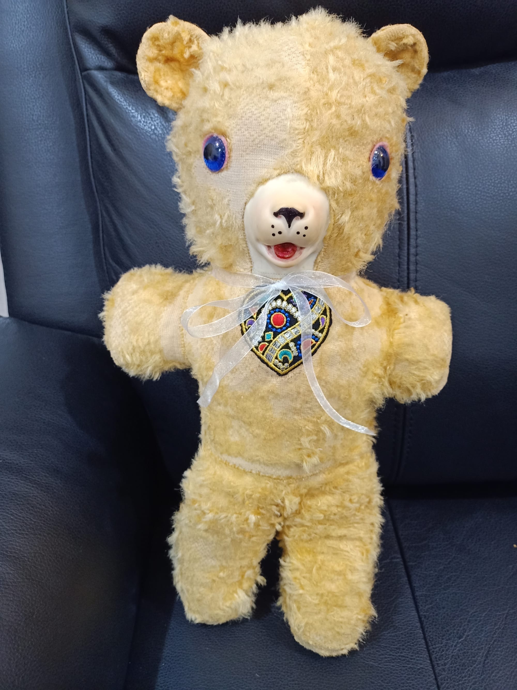 Teddy after
